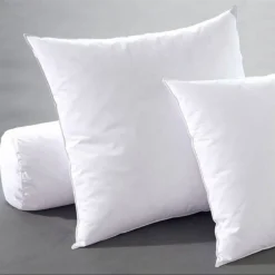 Oreiller antiacariens duvet canard Becquet Blanc