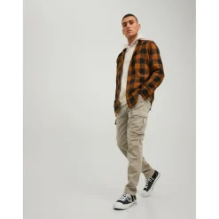 Pantalon cargo Carrot Fit Gris beige en coton