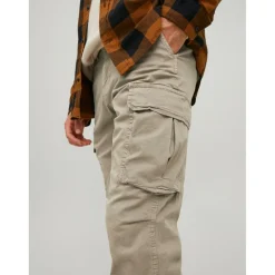 Pantalon cargo Carrot Fit Gris beige en coton