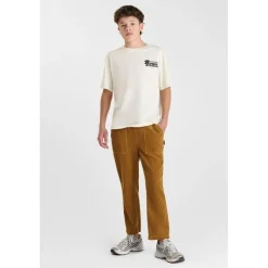 Pantalon droite HOUBO marron Kai