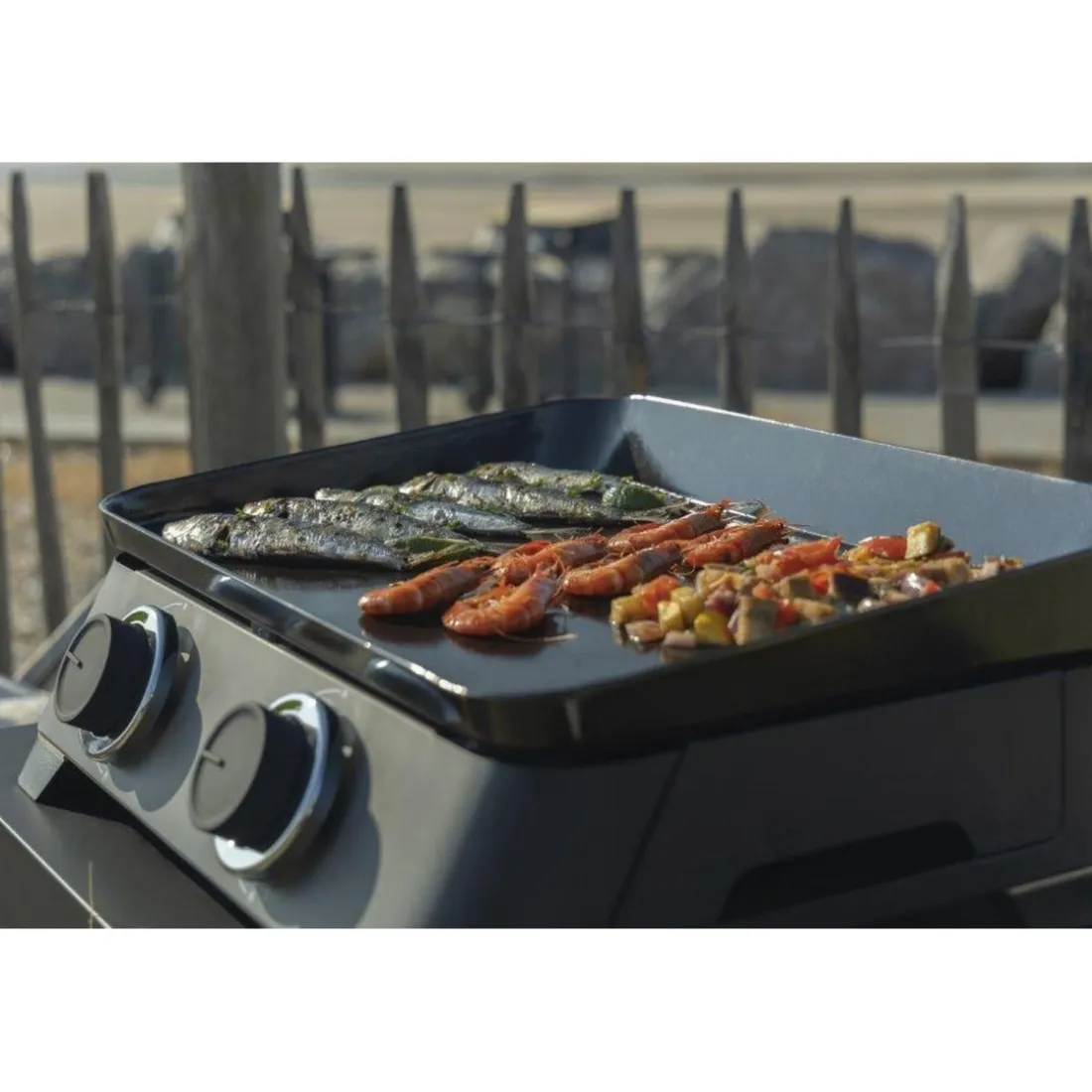 Plancha gaz DUNE 60
