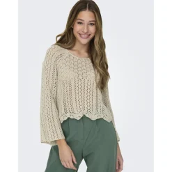 Pull en maille col rond col rond gris clair Uma