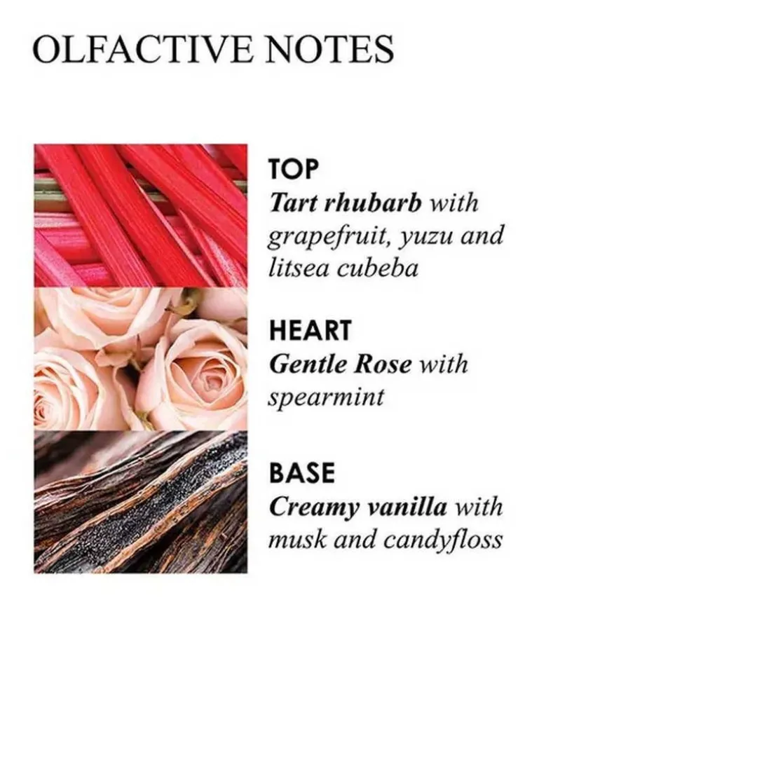 Recharge Savon Liquide Raffine Pour Les Mains Delicious Rhubarb & Rose
