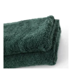 Serviette invité RANGER 620 g/m² - 40x60 + Serviette 56 x 100 cm - Vert terre