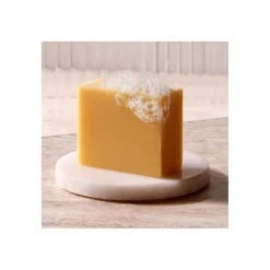 Shampooing Solide Hydratant 100% Naturel à L'Aloe Vera