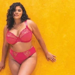 Soutien Gorge Plongeant