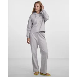 Sweat à capuche gris en coton Eden