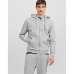 Sweat à capuche zippé Relaxed Fit Manches longues Gris Clair Andy