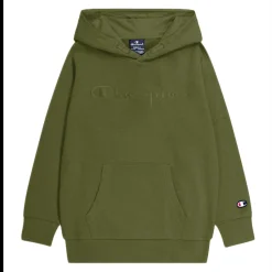 Sweatshirt à capuche garҫon - Vert