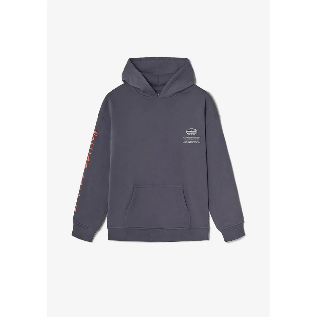 Sweat-Shirt capuche garçon NOEBO gris