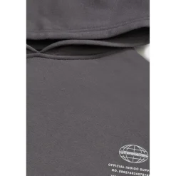 Sweat-Shirt capuche garçon NOEBO gris