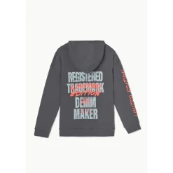 Sweat-Shirt capuche garçon NOEBO gris