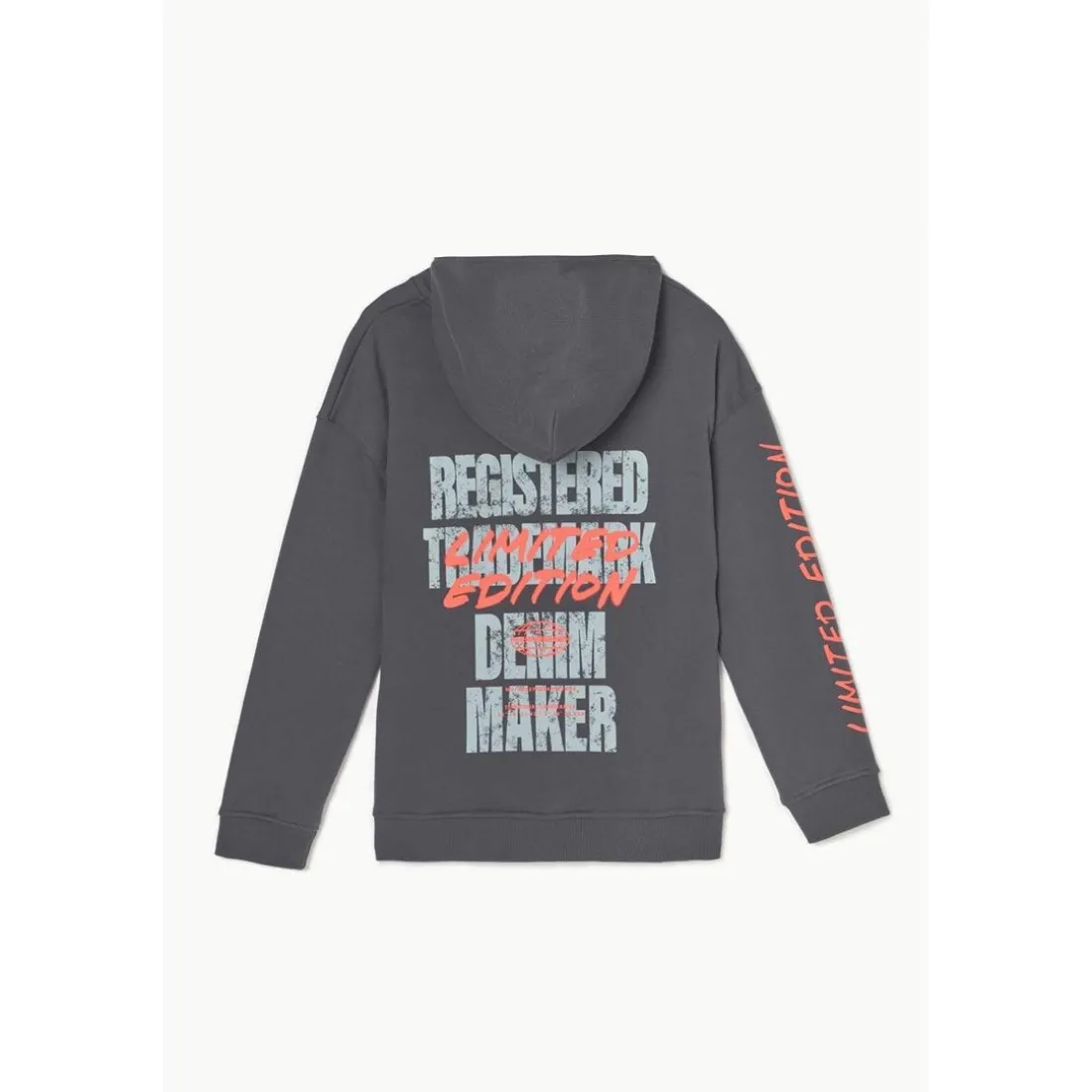 Sweat-Shirt capuche garçon NOEBO gris