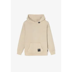 Sweat-Shirt capuche garçon ANIBO marron en coton Cy