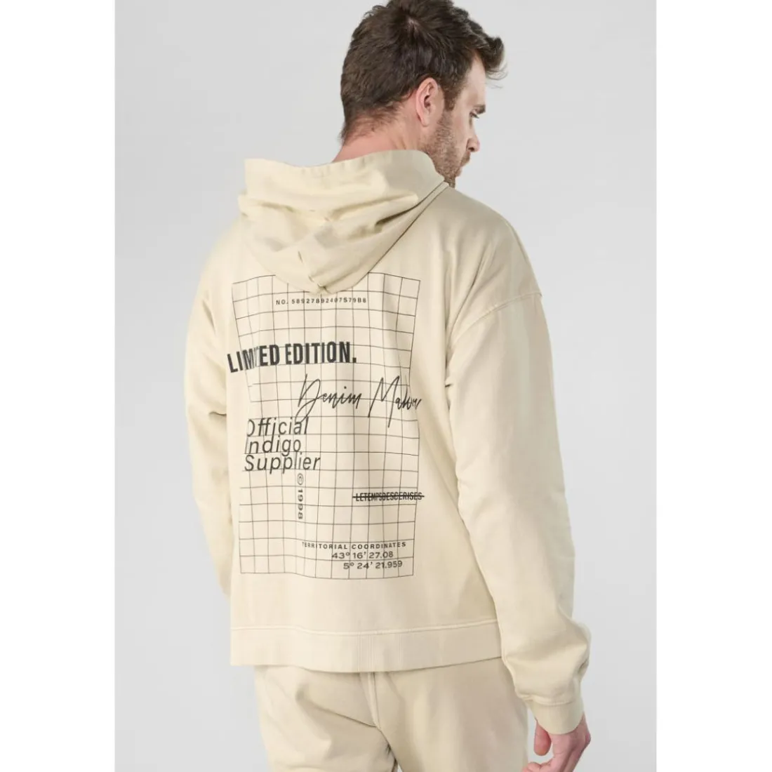 Sweat-Shirt capuche garçon ANIBO marron en coton Cy