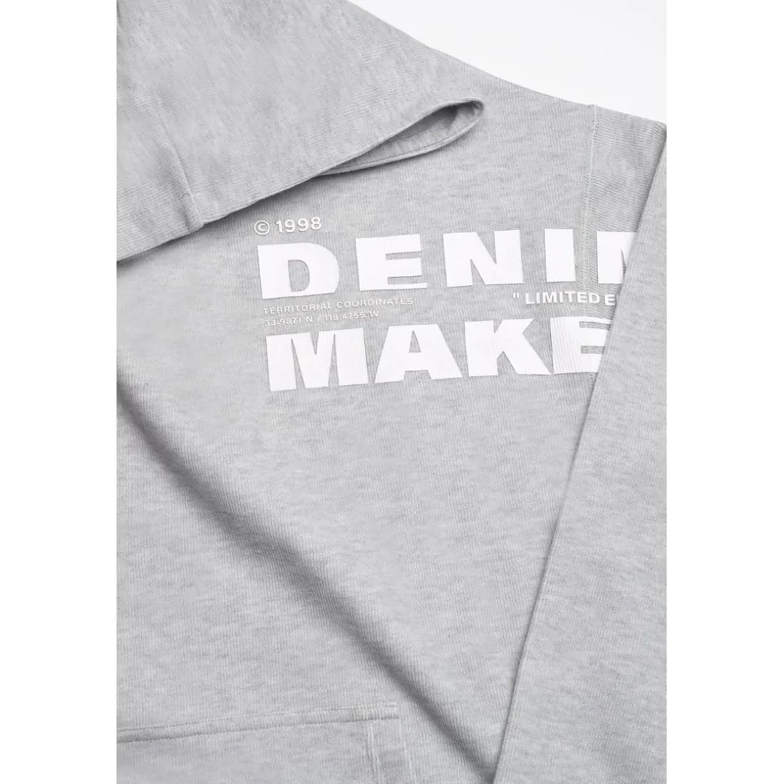 Sweat-Shirt capuche garçon ELROSBO gris en coton