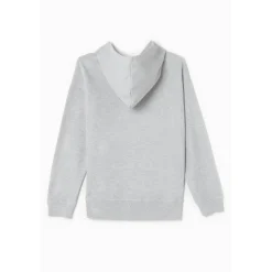 Sweat-Shirt capuche garçon ELROSBO gris en coton