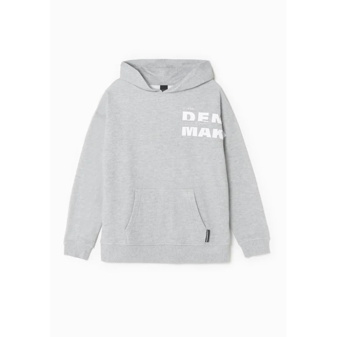 Sweat-Shirt capuche garçon ELROSBO gris en coton