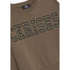Sweat-Shirt marron Blair en coton