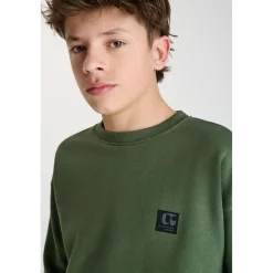 Sweat-Shirt PIPOBO vert en coton Zed