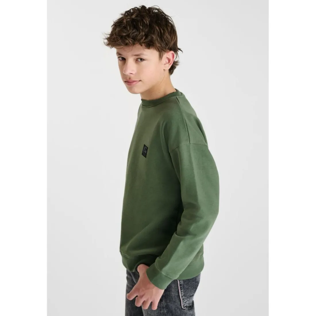 Sweat-Shirt PIPOBO vert en coton Zed