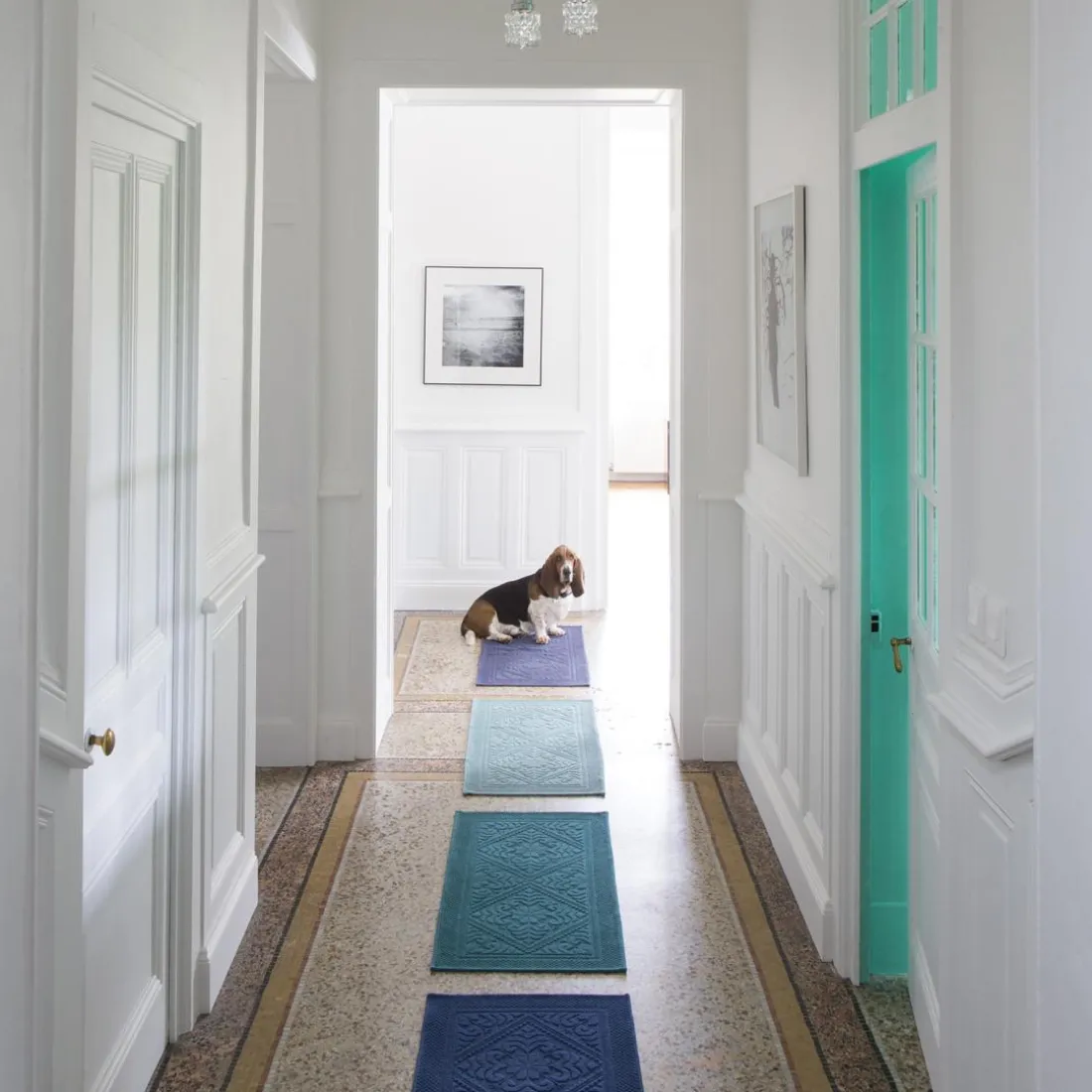 Tapis Enzo Peacock 54 X 64