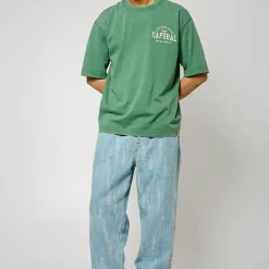 Tee Shirt Manches Courtes en coton JOEY Green vert