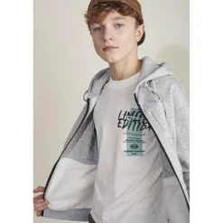 Tee-shirt garçon LINGBO marron Zack en coton