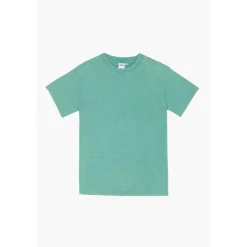 Tee-shirt garçon SAROBO vert en coton