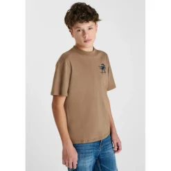 Tee-Shirt marron Luke en coton