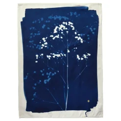 Torchon GYPSO Bleu 70 x 50