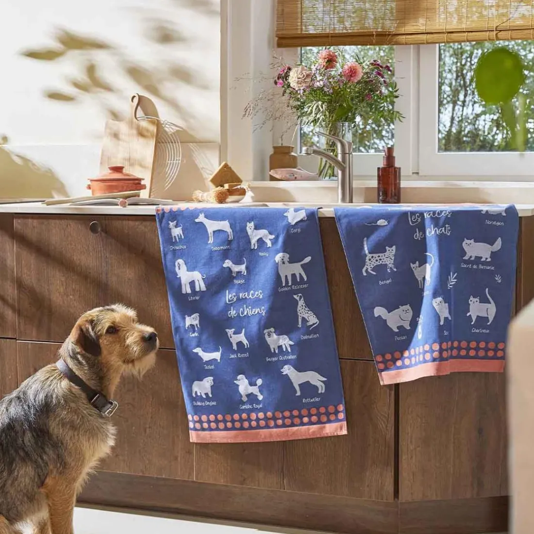 Torchon imprimé en jacquard de coton RACES DE CHIENS-Bleu