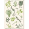 Torchon Imprimé Les herbes de provence Ecru 48 x 72