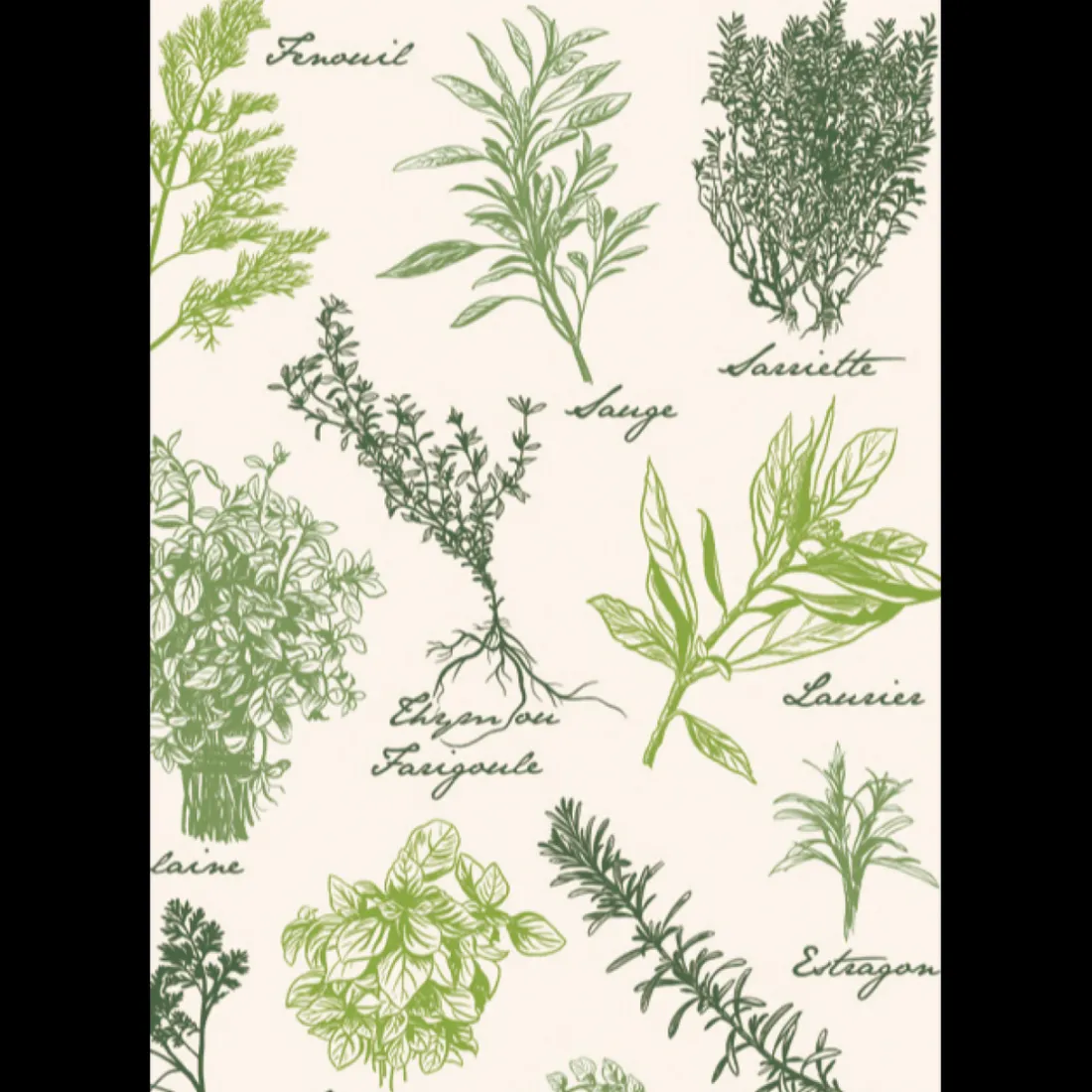 Torchon Imprimé Les herbes de provence Ecru 48 x 72