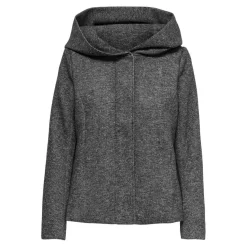 Veste Capuche Manches longues gris Aria